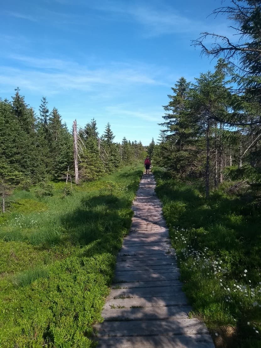 Česká krajina je moc pěkná, měli bychom si ji chránit. Environmentální kritéria by měla být nadřazena nad zjednodušeným bojem proti emisím uhlíku a za co nejvyšší podíl obnovitelných zdrojů. Jizerská magistrála – část treku okolo Česka. (Foto Vladimír Wagner)